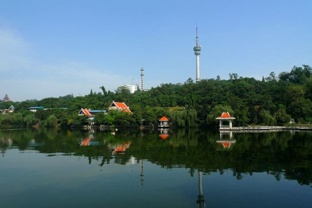 ag亚娱集团·(中国)官方网站